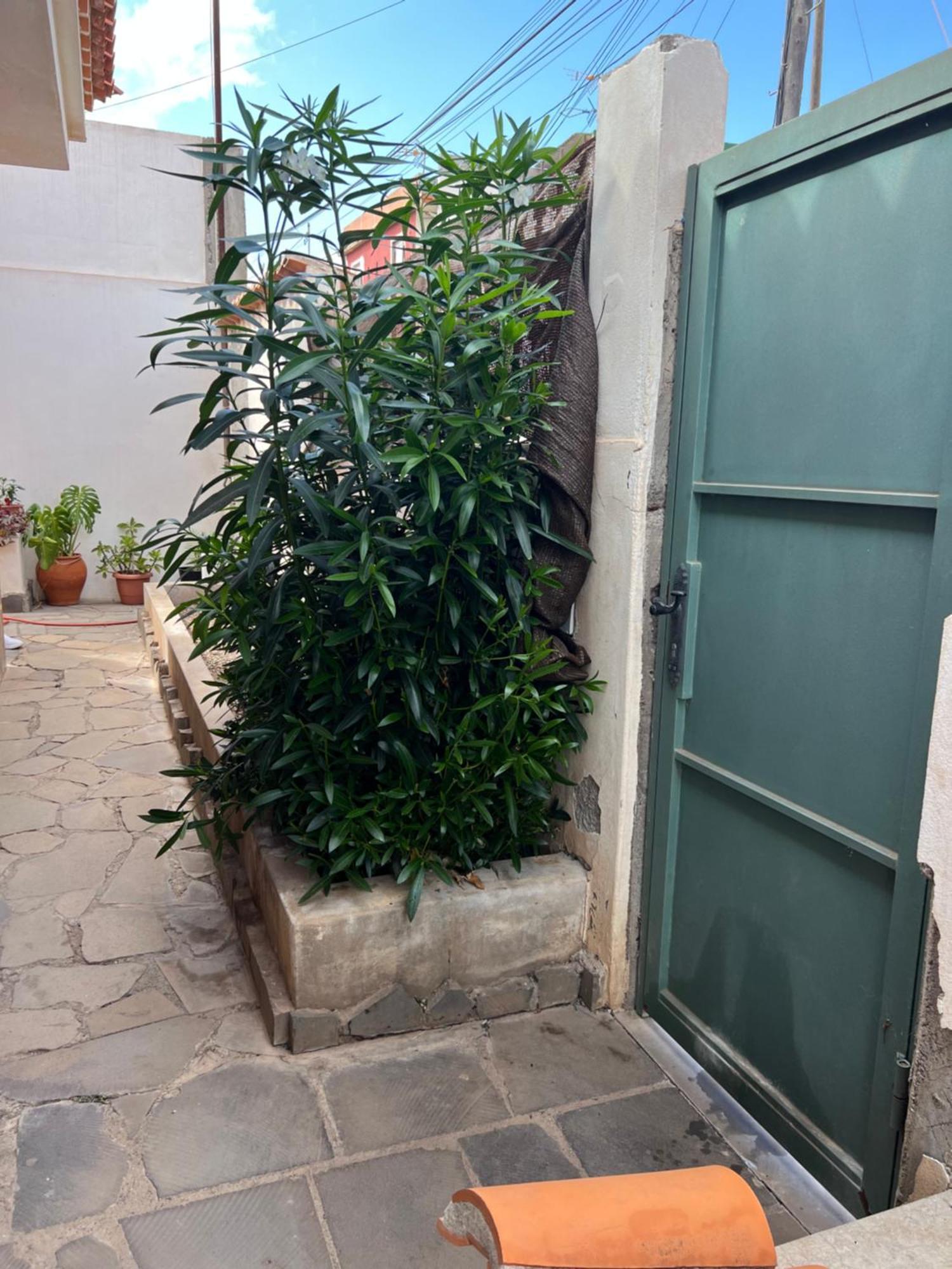 Atico Casa De Invitados Bluemoon Сан-Кристобаль-де-Ла-Лагуна Экстерьер фото